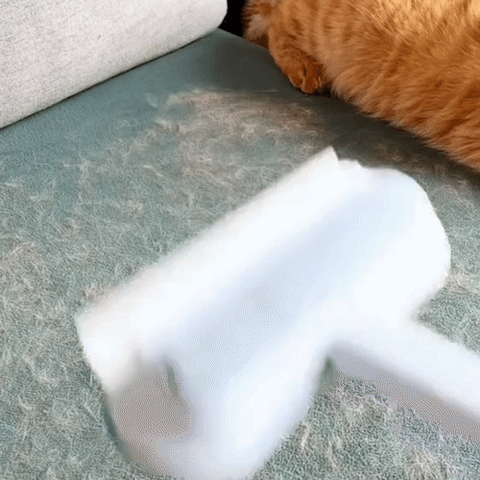 Lisslune | 3-in-1 Pet Hair Remover - PetClean Pro