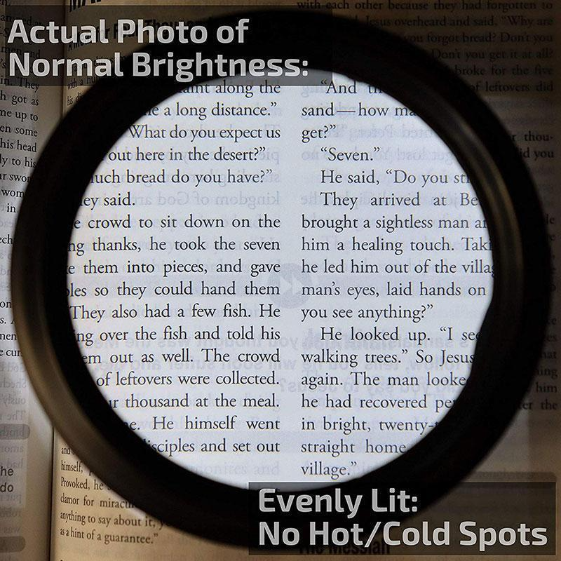 Lisslune | LED Reading Glasses Magnifier