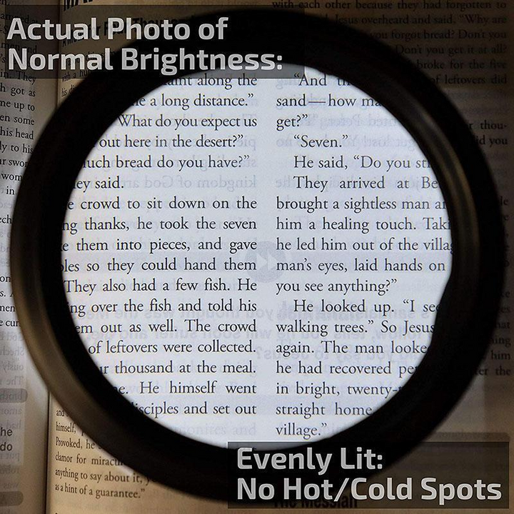 Lisslune | LED Reading Glasses Magnifier