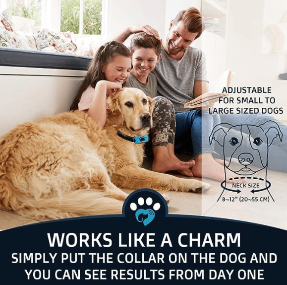 Lisslune | Anti-Bark Collar