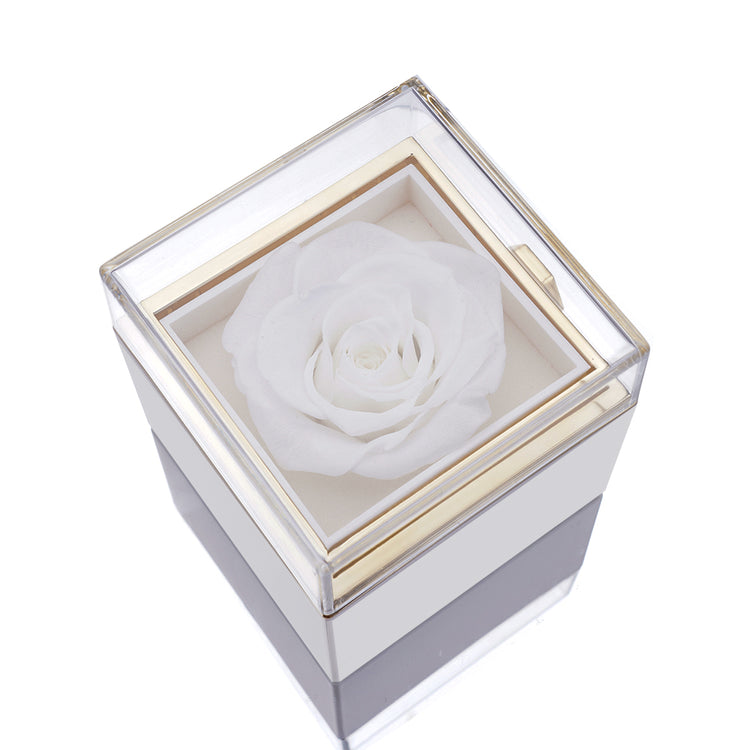 Lisslune | [Ideal Gift] Eternal Rose Box - With engraved necklace & artificial rose