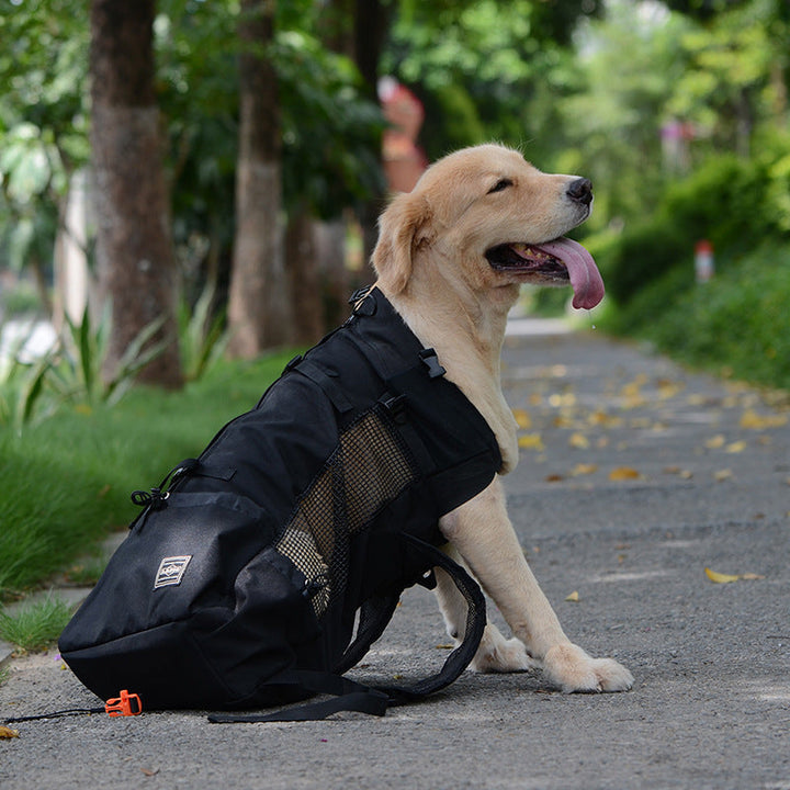Lisslune | Dog Backpack – Comfortable Carrying Bag for Medium Dogs with Safety Strap and Storage Pockets