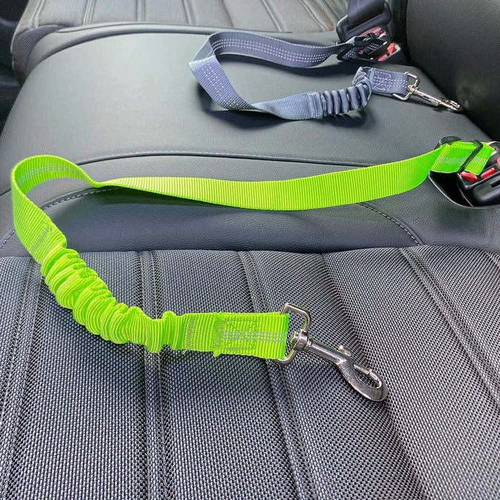 Lisslune | LOUIS SAFETY – Adjustable safety belt for dogs in the car