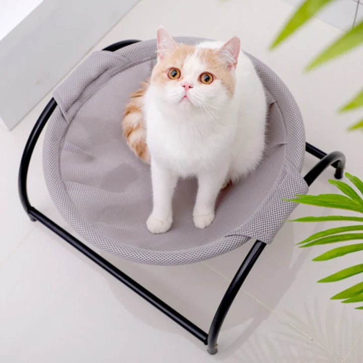 Lisslune | Floor Cat Hammock-With Stand