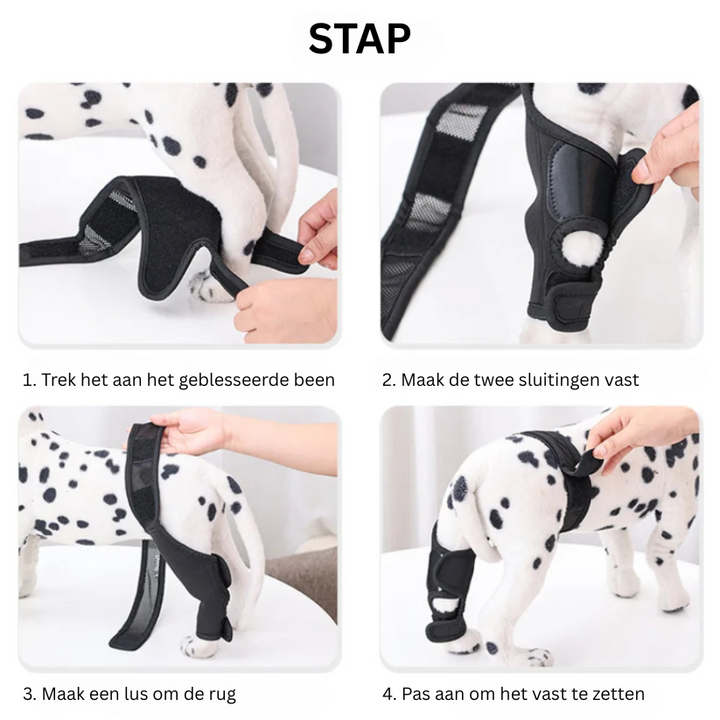 Lisslune | PootVitaal Knee Brace for Dogs – Support for Joint Pain and Rehabilitation