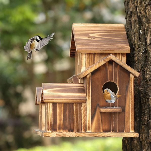 Lisslune | AviaryHaven - Nature Retreat with six entrances