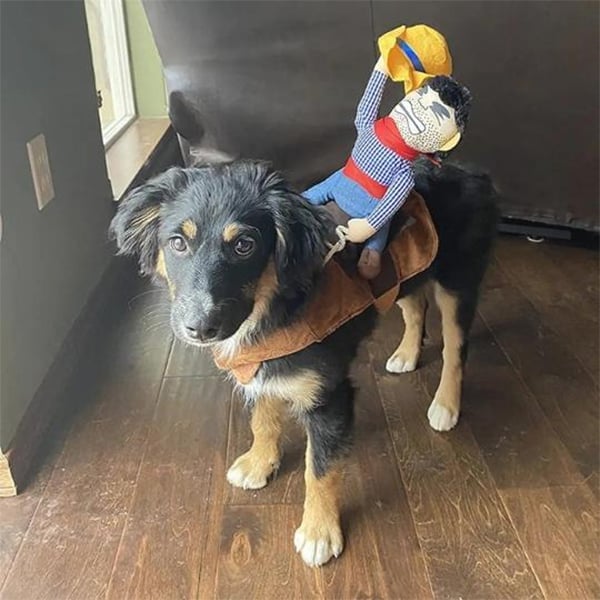 Lisslune | The Cowboy Rider Dog Costume