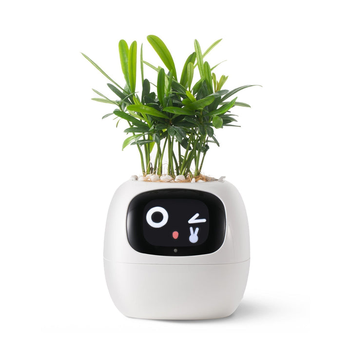 Lisslune | VerdeGlow – Self-Watering Smart Plant Pot | Automatic Irrigation | Modern Indoor Planter