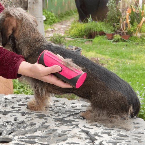 Lisslune | 3 in 1 Deshedding Undercoat & Fur Brush