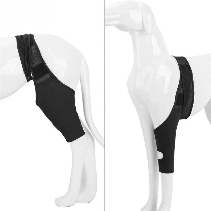 Lisslune | PootVitaal Knee Brace for Dogs – Support for Joint Pain and Rehabilitation