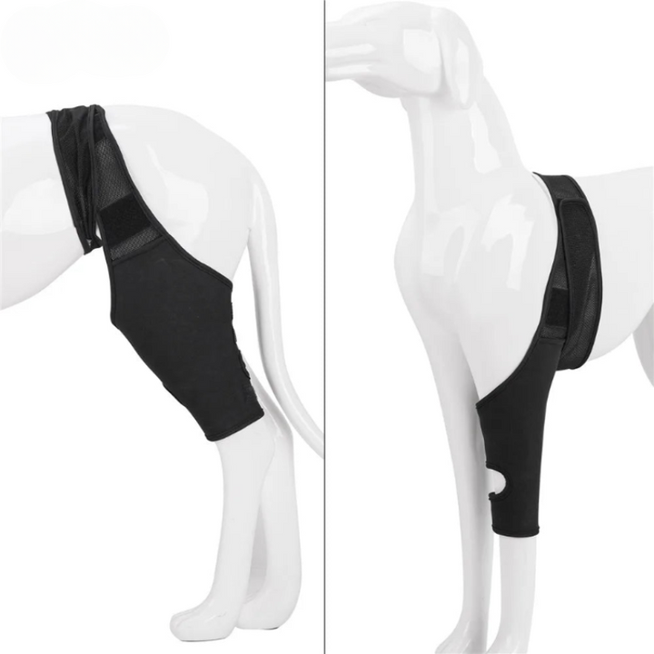 Lisslune | PootVitaal Knee Brace for Dogs – Support for Joint Pain and Rehabilitation