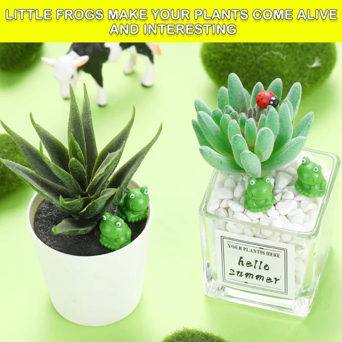 Lisslune | Hide the little frog challenge toy