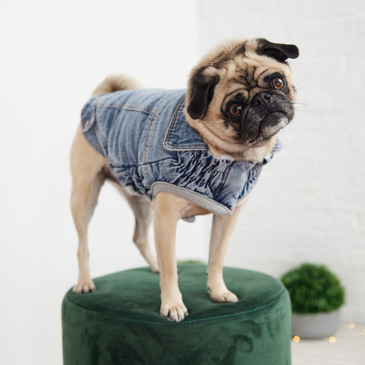Lisslune | Denim bomber jacket - Light washed