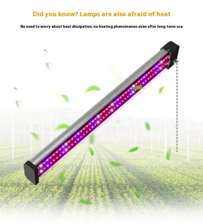 Lisslune | LED plant lamp with full spectrum lighting and pull switch for optimal plant growth
