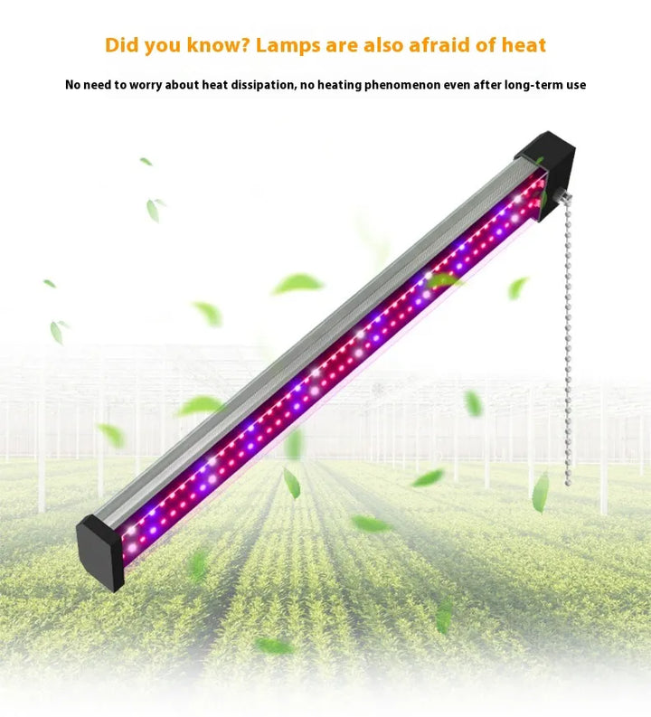 Lisslune | LED plant lamp with full spectrum lighting and pull switch for optimal plant growth