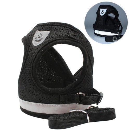Lisslune | Cat collar and leash
