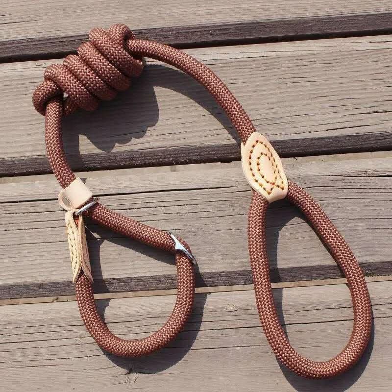 Lisslune | GUILLAUME LAISSE – Robust dog leash made of climbing rope for maximum control & safety