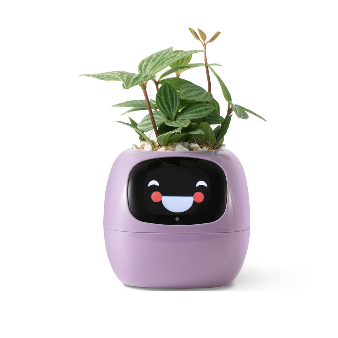 Lisslune | VerdeGlow – Self-Watering Smart Plant Pot | Automatic Irrigation | Modern Indoor Planter