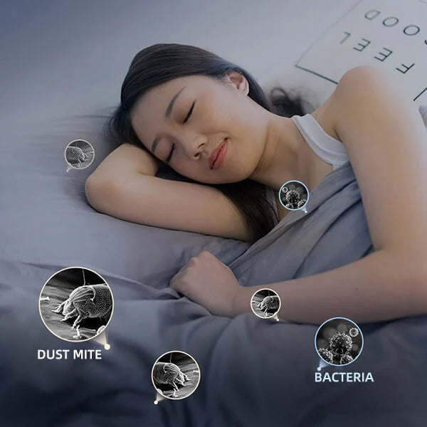 Lisslune | Mattressmaster | Cordless Anti-Dust Mite Vacuum Cleaner