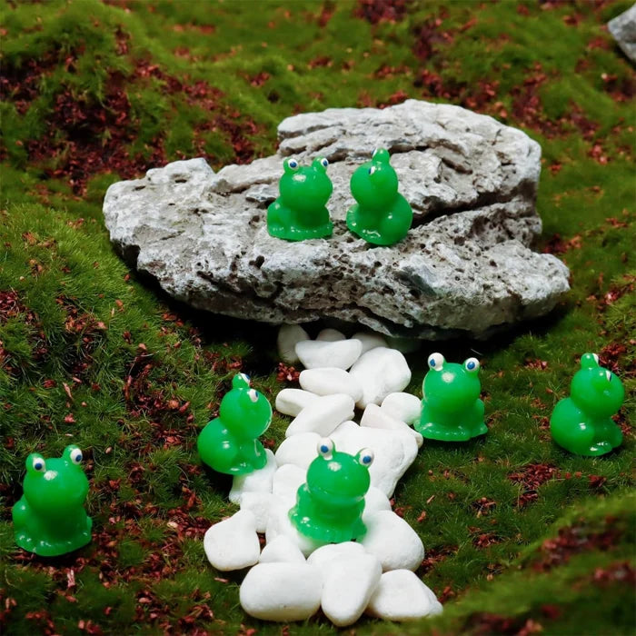 Lisslune | Hide the little frog challenge toy