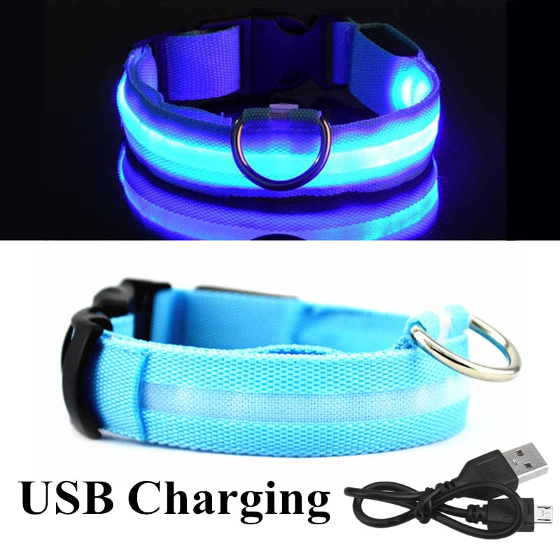Lisslune | Adjustable LED collar