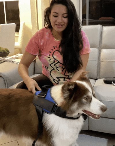 Lisslune | Anti Choke Dog Harness