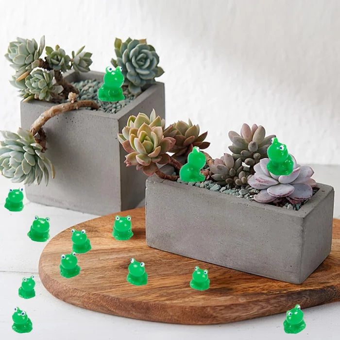 Lisslune | Hide the little frog challenge toy
