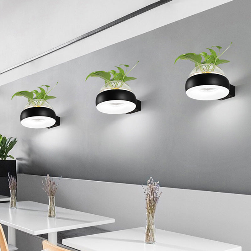 Lisslune | Clear Glass Dome Wall Lighting Industry 1 Bulb Bedroom LED Wall Light Lamp in Black/Grey/White with Plant Holder