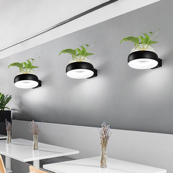 Lisslune | Clear Glass Dome Wall Lighting Industry 1 Bulb Bedroom LED Wall Light Lamp in Black/Grey/White with Plant Holder