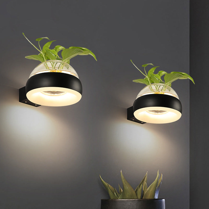 Lisslune | Clear Glass Dome Wall Lighting Industry 1 Bulb Bedroom LED Wall Light Lamp in Black/Grey/White with Plant Holder