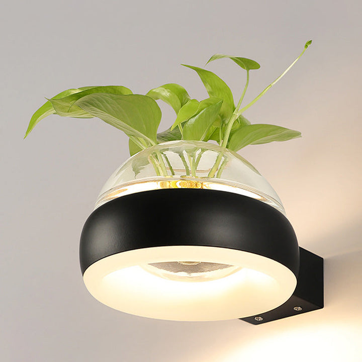 Lisslune | Clear Glass Dome Wall Lighting Industry 1 Bulb Bedroom LED Wall Light Lamp in Black/Grey/White with Plant Holder