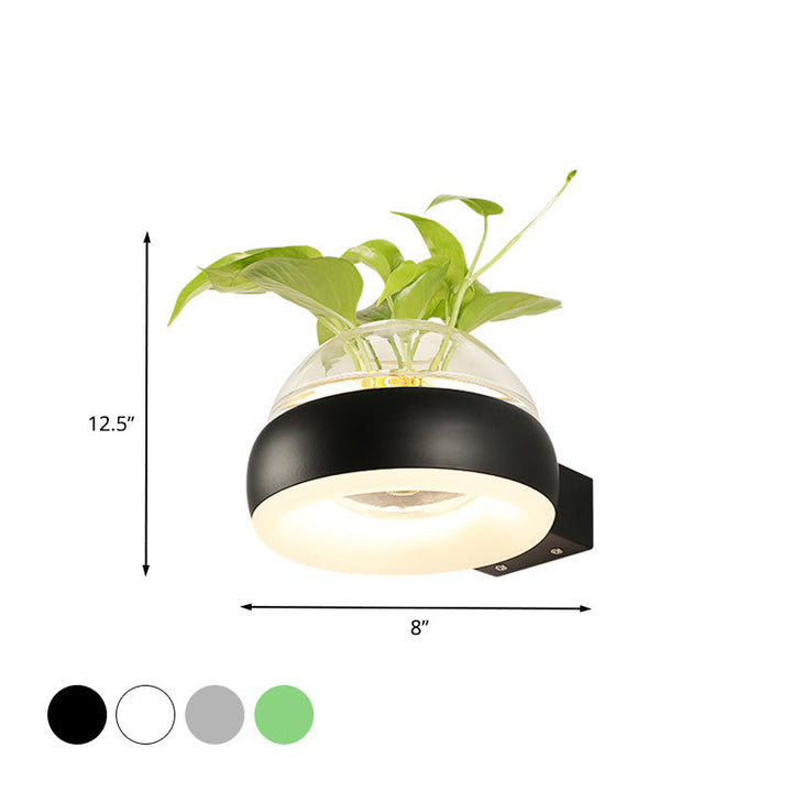 Lisslune | Clear Glass Dome Wall Lighting Industry 1 Bulb Bedroom LED Wall Light Lamp in Black/Grey/White with Plant Holder