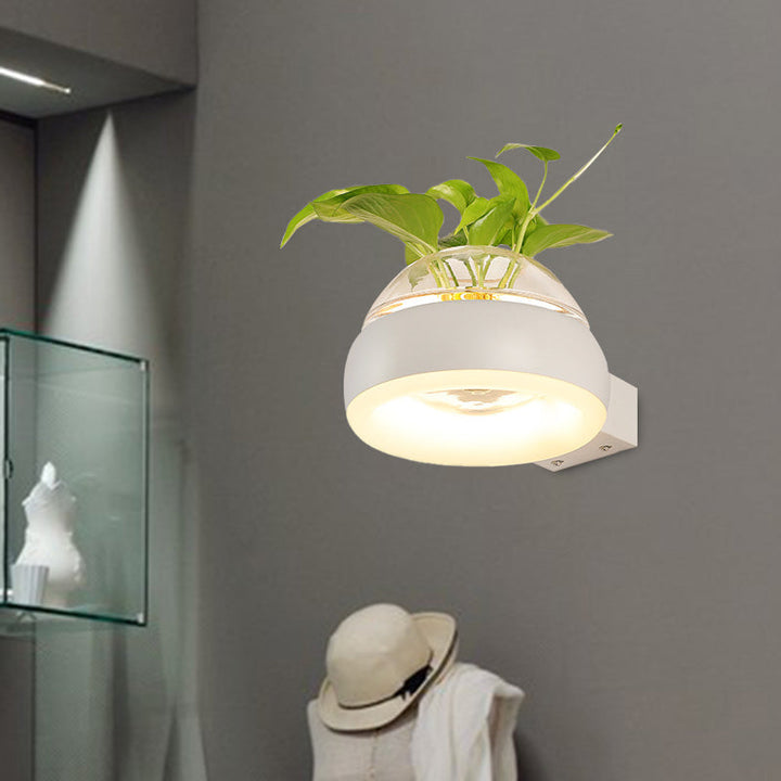Lisslune | Clear Glass Dome Wall Lighting Industry 1 Bulb Bedroom LED Wall Light Lamp in Black/Grey/White with Plant Holder