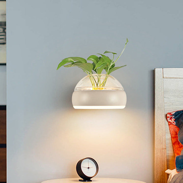 Lisslune | Clear Glass Dome Wall Lighting Industry 1 Bulb Bedroom LED Wall Light Lamp in Black/Grey/White with Plant Holder