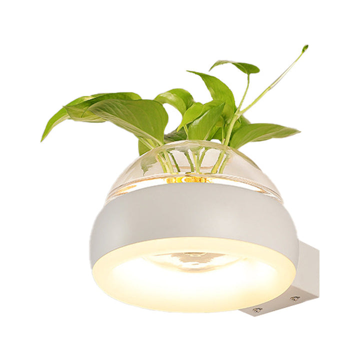 Lisslune | Clear Glass Dome Wall Lighting Industry 1 Bulb Bedroom LED Wall Light Lamp in Black/Grey/White with Plant Holder
