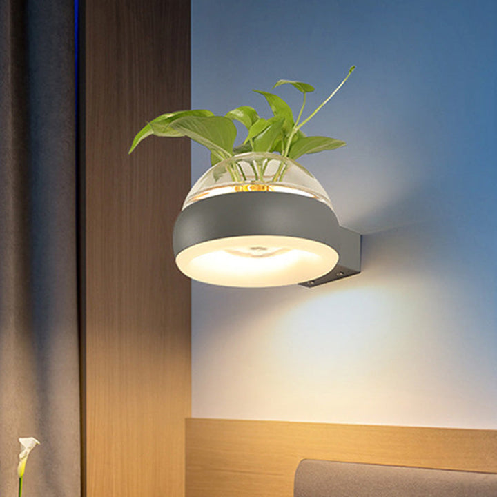Lisslune | Clear Glass Dome Wall Lighting Industry 1 Bulb Bedroom LED Wall Light Lamp in Black/Grey/White with Plant Holder