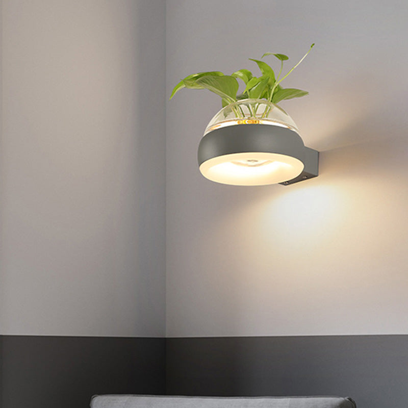 Lisslune | Clear Glass Dome Wall Lighting Industry 1 Bulb Bedroom LED Wall Light Lamp in Black/Grey/White with Plant Holder