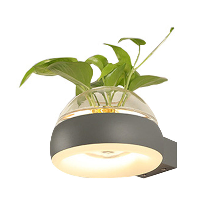 Lisslune | Clear Glass Dome Wall Lighting Industry 1 Bulb Bedroom LED Wall Light Lamp in Black/Grey/White with Plant Holder