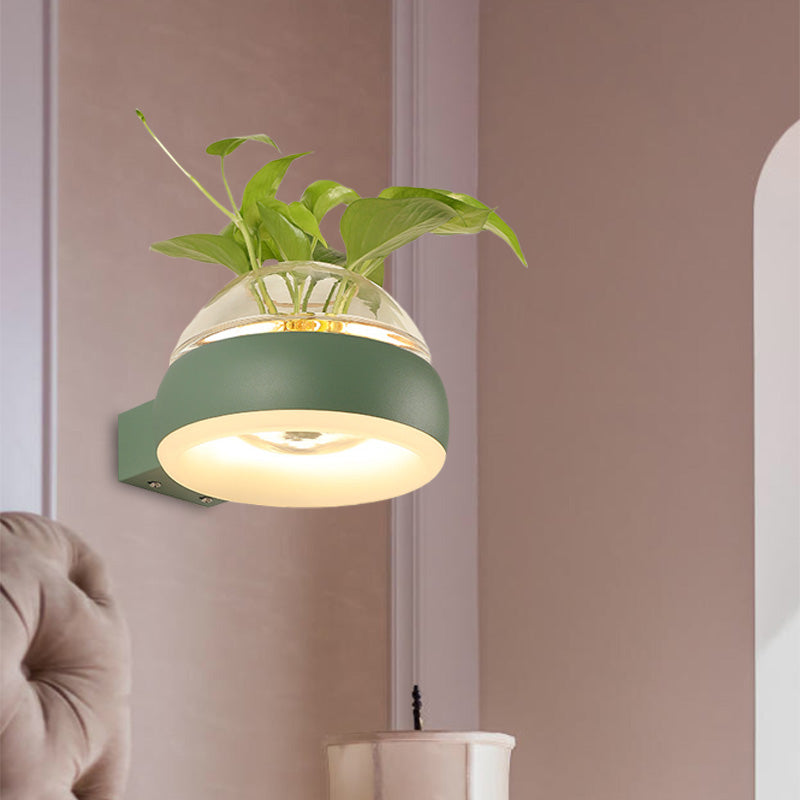 Lisslune | Clear Glass Dome Wall Lighting Industry 1 Bulb Bedroom LED Wall Light Lamp in Black/Grey/White with Plant Holder