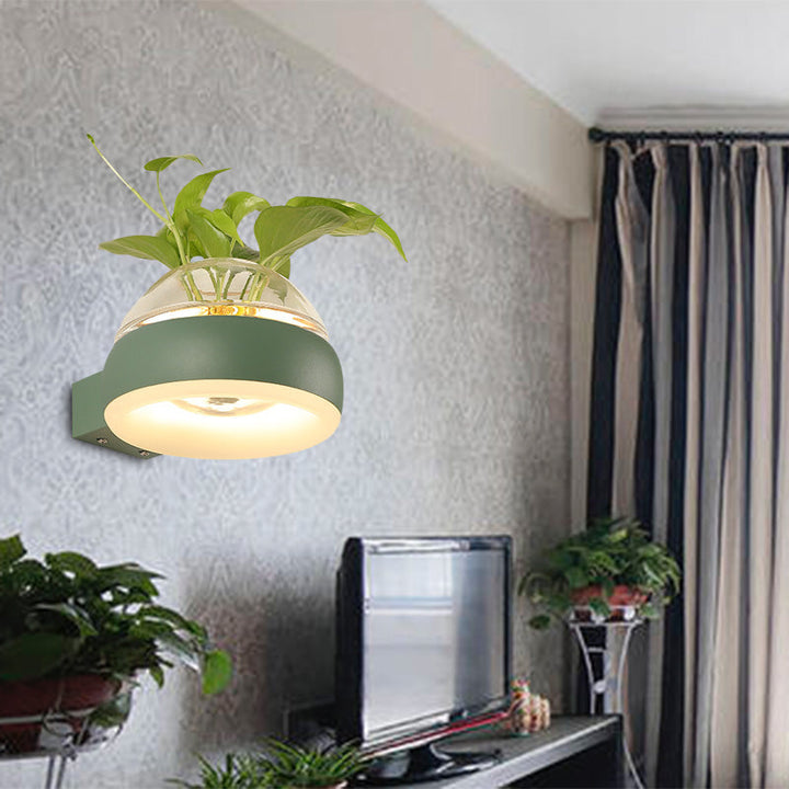 Lisslune | Clear Glass Dome Wall Lighting Industry 1 Bulb Bedroom LED Wall Light Lamp in Black/Grey/White with Plant Holder