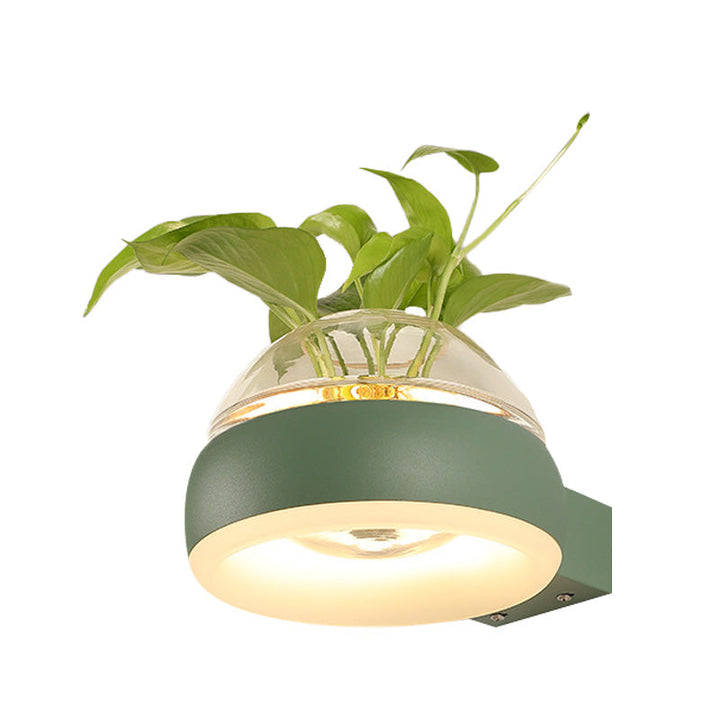 Lisslune | Clear Glass Dome Wall Lighting Industry 1 Bulb Bedroom LED Wall Light Lamp in Black/Grey/White with Plant Holder