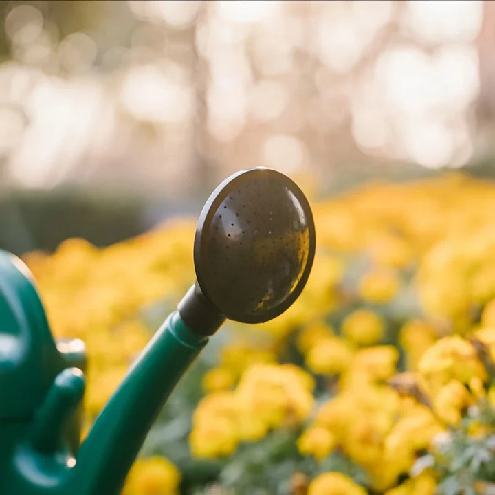 Lisslune | Watering can with large capacity and long spout for precise watering and plant care