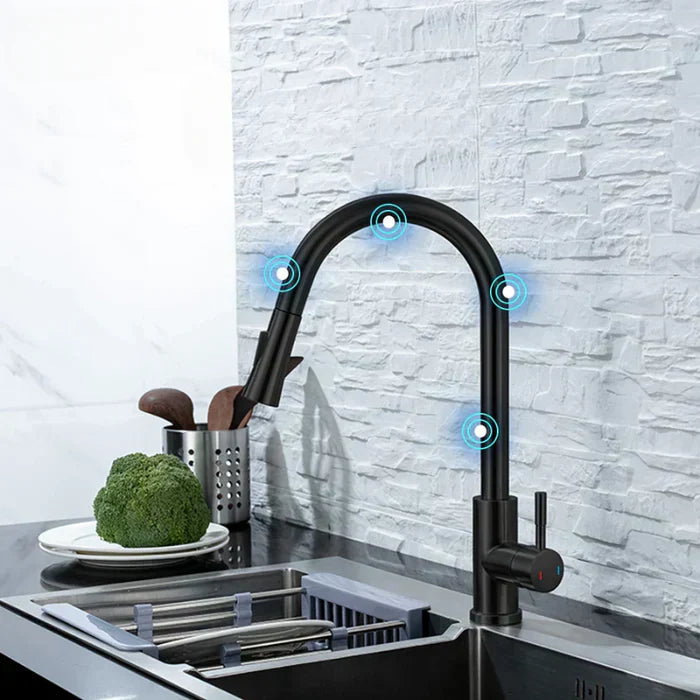 Lisslune | Sensor Kitchen Faucet