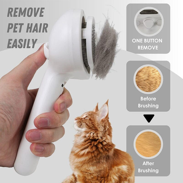 Lisslune | Spray Cat Brush