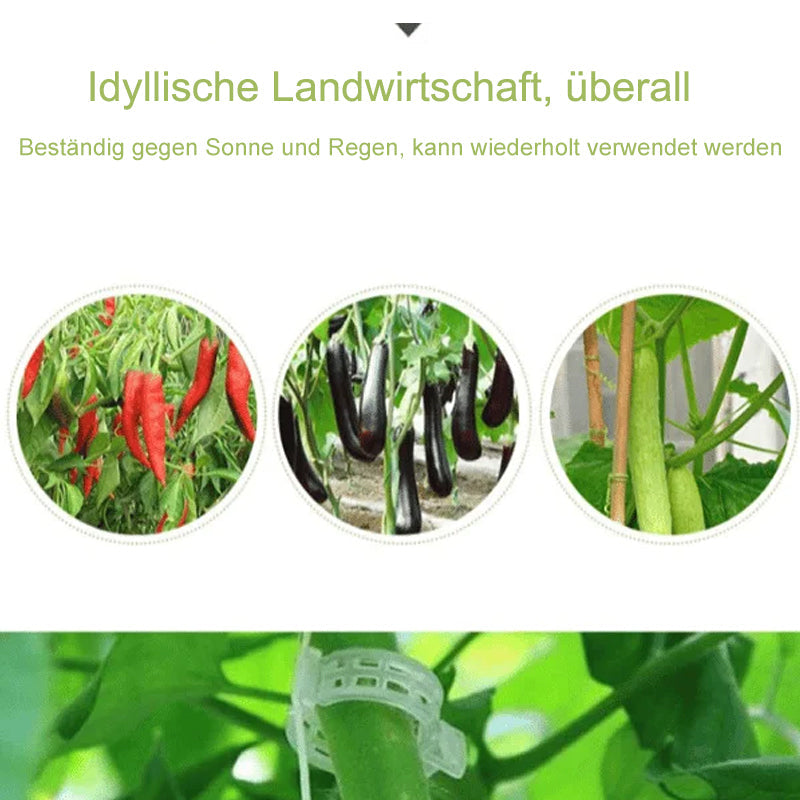 Lisslune | Practical Plant Support Clip