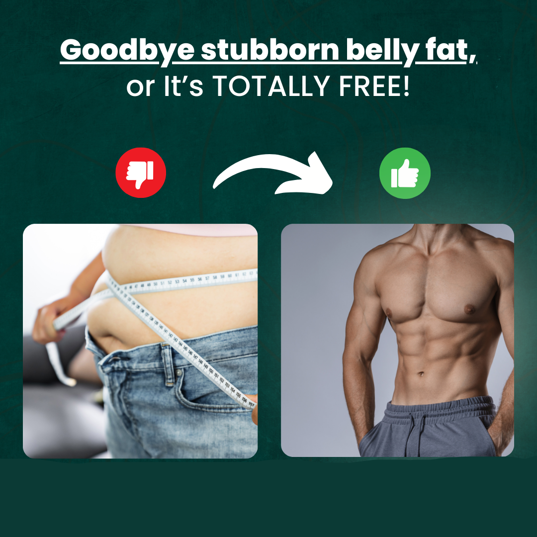 Lisslune | Abdominal Exerciser | Fitness Machine for Muscle Trainer | Equipment for Abs Workouts