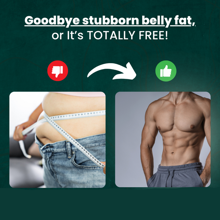 Lisslune | Abdominal Exerciser | Fitness Machine for Muscle Trainer | Equipment for Abs Workouts