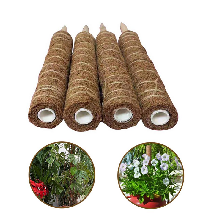 Lisslune | Coconut moss stick for climbing plants – Natural climbing aid for houseplants and garden