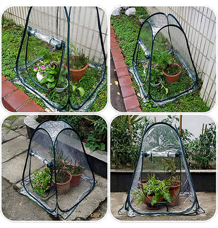 Lisslune | Compact Plant Protection Tent for Garden Plants – Transparent Greenhouse