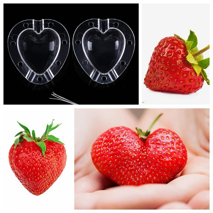 Lisslune | Heart Shaped Vegetable Cutter – Creative Mold Bowl for Vegetables and Fruits